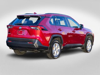 2020 Toyota RAV4 Hybride LE AWD **CARPLAY, MAG, CAMÉRA** in Charlemagne, Quebec - 5 - w320h240px