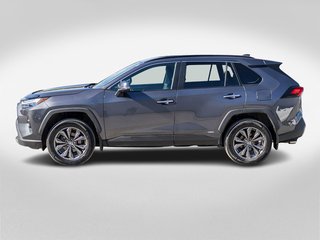 2022 Toyota RAV4 Hybride LIMITED **JAMAIS ACCIDENTÉ+CUIR+TOIT+360DEG+JBL*** in Saint-Jérôme, Quebec - 3 - w320h240px