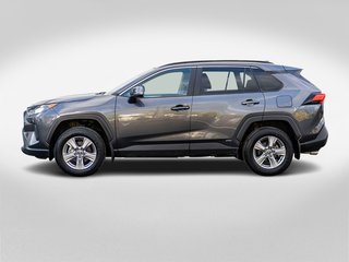 2025 Toyota RAV4 Hybride LE **JAMAIS ACCIDENTÉ+CAMÉRA+CARPLAY** in Saint-Jérôme, Quebec - 3 - w320h240px