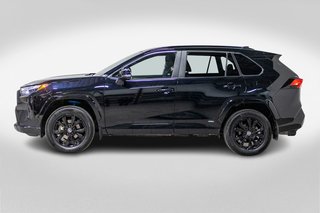 2023 Toyota RAV4 Hybride SE **JAMAIS ACCIDENTÉ+TOIT+CARPLAY+CAMÉRA+MAG** in Charlemagne, Quebec - 3 - w320h240px