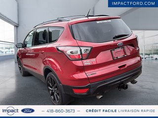 Ford Escape SE 2017 à Rivière-du-Loup, Québec - 4 - w320h240px