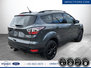 Ford Escape Titanium 2018 à Rivière-du-Loup, Québec - 5 - w320h240px