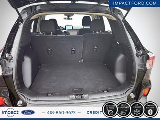 2020 Ford Escape SE in Rivière-du-Loup, Quebec - 6 - w320h240px