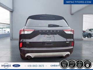 2020 Ford Escape SE in Rivière-du-Loup, Quebec - 3 - w320h240px
