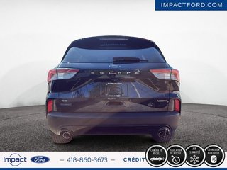 Ford Escape SE Hybrid 2021 à Rivière-du-Loup, Québec - 3 - w320h240px
