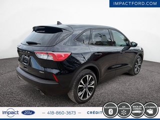 Ford Escape SE Hybrid 2021 à Rivière-du-Loup, Québec - 5 - w320h240px