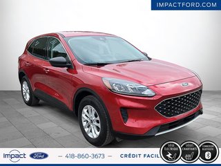 Ford Escape SE 2022 à Rivière-du-Loup, Québec - 4 - w320h240px