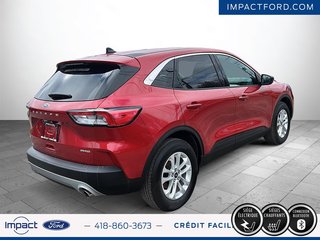 Ford Escape SE 2022 à Rivière-du-Loup, Québec - 6 - w320h240px
