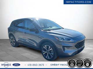 Ford Escape SE Hybrid 2022 à Rivière-du-Loup, Québec - 3 - w320h240px