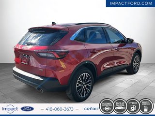 2024 Ford Escape PHEV in Rivière-du-Loup, Quebec - 5 - w320h240px
