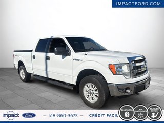 Ford F-150 XLT 2014 à Rivière-du-Loup, Québec - 3 - w320h240px