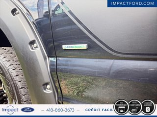 Ford F-150 XLT 2017 à Rivière-du-Loup, Québec - 6 - w320h240px
