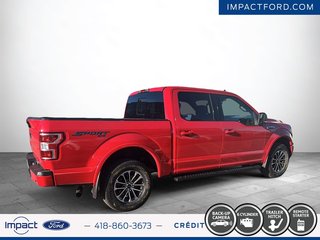 Ford F-150 XLT 2020 à Rivière-du-Loup, Québec - 5 - w320h240px