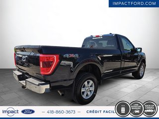 Ford F-150 XLT 2021 à Rivière-du-Loup, Québec - 5 - w320h240px
