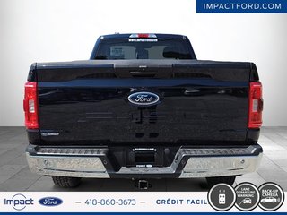 Ford F-150 XLT 2021 à Rivière-du-Loup, Québec - 6 - w320h240px