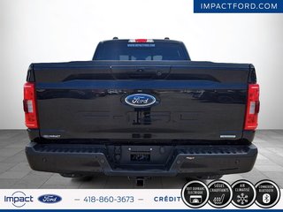 Ford F-150 XLT 2022 à Rivière-du-Loup, Québec - 6 - w320h240px
