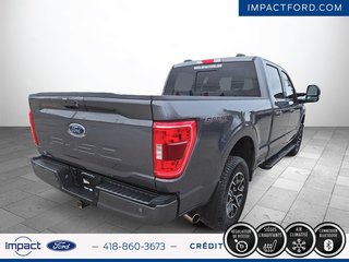 Ford F-150  2022 à Rivière-du-Loup, Québec - 5 - w320h240px
