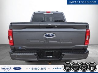 Ford F-150  2022 à Rivière-du-Loup, Québec - 6 - w320h240px