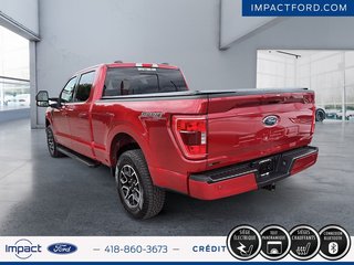 Ford F-150 XLT 2022 à Rivière-du-Loup, Québec - 4 - w320h240px