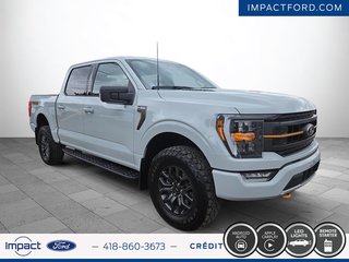 Ford F-150 TREMOR 2023 à Rivière-du-Loup, Québec - 3 - w320h240px