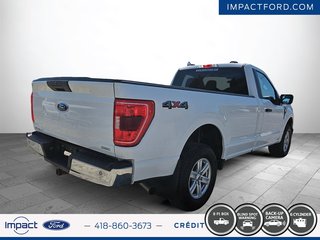 Ford F-150 XLT 2023 à Rivière-du-Loup, Québec - 5 - w320h240px