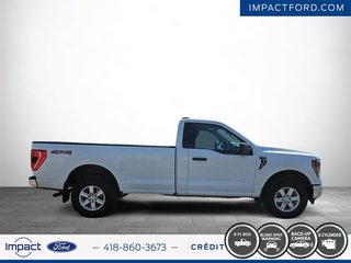 Ford F-150 XLT 2023 à Rivière-du-Loup, Québec - 4 - w320h240px