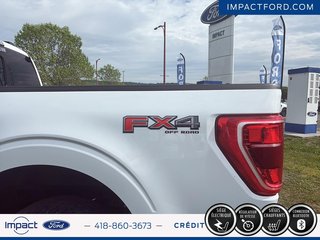 2023 Ford F-150 XLT in Rivière-du-Loup, Quebec - 6 - w320h240px
