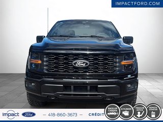 Ford F-150 STX 2024 à Rivière-du-Loup, Québec - 2 - w320h240px