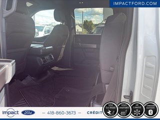Ford F-150 XLT 2024 à Rivière-du-Loup, Québec - 4 - w320h240px