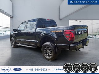 Ford F-150 Tremor 2024 à Rivière-du-Loup, Québec - 4 - w320h240px