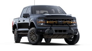 Ford F-150 TREMOR 2025 à Rivière-du-Loup, Québec - 4 - w320h240px