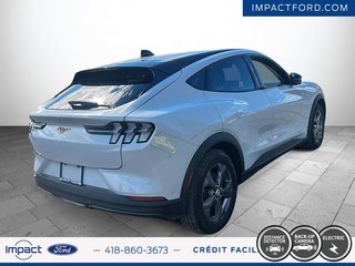 Ford Mustang Mach-E Select 2023 à Rivière-du-Loup, Québec - 5 - w320h240px