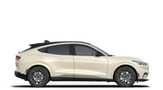 2025 Ford MUSTANG MACH-E PREMIUM in Rivière-du-Loup, Quebec - 5 - w320h240px