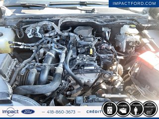 2024 Ford Ranger XLT in Rivière-du-Loup, Quebec - 6 - w320h240px