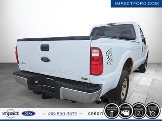 Ford Super Duty F-250 SRW XL 2011 à Rivière-du-Loup, Québec - 5 - w320h240px