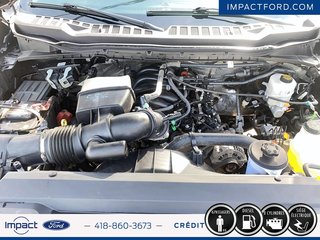 2023 Ford Super Duty F-250 SRW in Rivière-du-Loup, Quebec - 6 - w320h240px