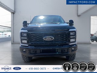 2025 Ford Super Duty F-250 SRW TREMOR in Rivière-du-Loup, Quebec - 2 - w320h240px