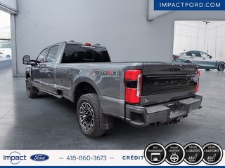 2025 Ford Super Duty F-250 SRW in Rivière-du-Loup, Quebec - 4 - w320h240px