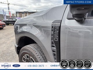2025 Ford Super Duty F-250 SRW in Rivière-du-Loup, Quebec - 6 - w320h240px