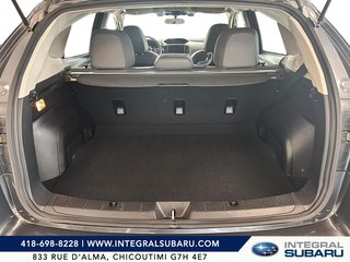 Subaru Crosstrek Outdoor 2023