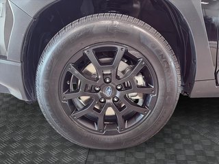 Subaru Crosstrek Wilderness 2024