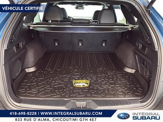 Subaru Outback Wilderness 2025