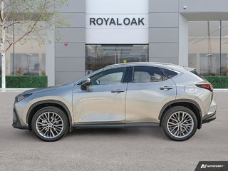 2022 Lexus NX NX 350