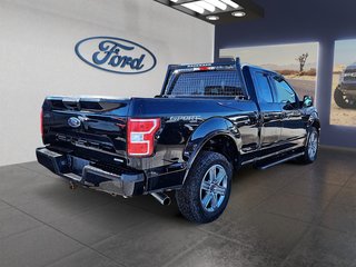 2019  F-150 XLT in Kingston, Ontario - 5 - w320h240px