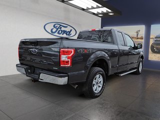 2019  F-150 XLT in Kingston, Ontario - 5 - w320h240px