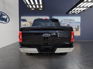 2021  F-150 XLT in Kingston, Ontario - 6 - w320h240px