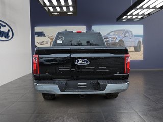 2024  F-150 XL in Kingston, Ontario - 6 - w320h240px