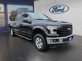 2017  F150 XLT in Kingston, Ontario - 3 - w320h240px