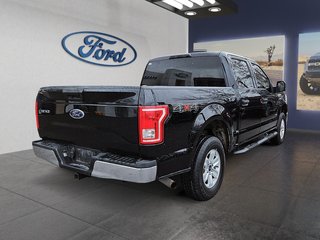 2017  F150 XLT in Kingston, Ontario - 5 - w320h240px
