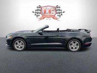 2017  Mustang V6   MANUAL   CONVERTIBLE   BLUETOOTH   CAMERA in Hannon, Ontario - 4 - w320h240px